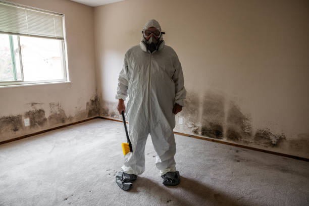 Best Forensic Mold Investigation  in Heritage Village, CT